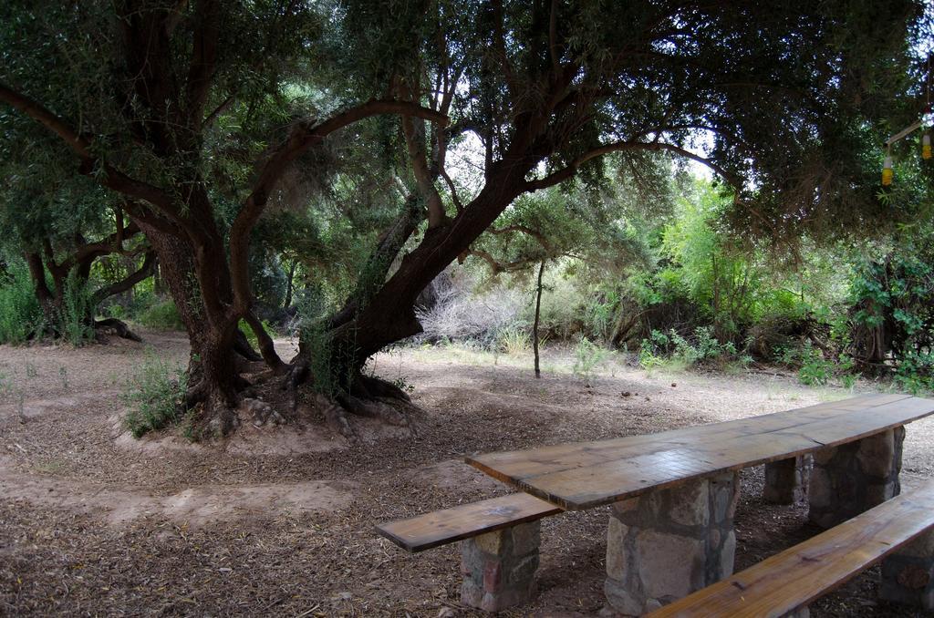 El Zorro Gris Villa Tinogasta Eksteriør bilde