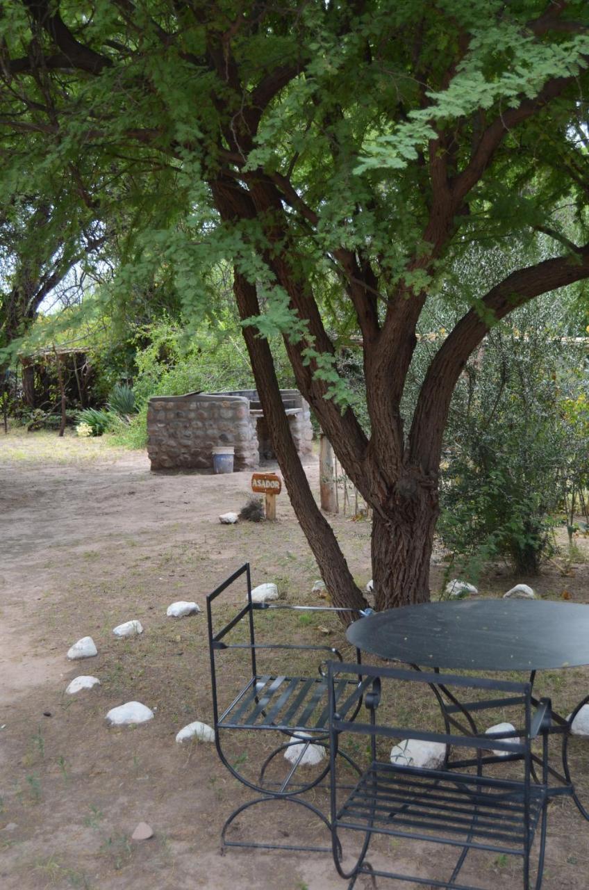 El Zorro Gris Villa Tinogasta Eksteriør bilde